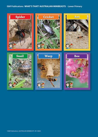 1089A | MiniBeasts LP