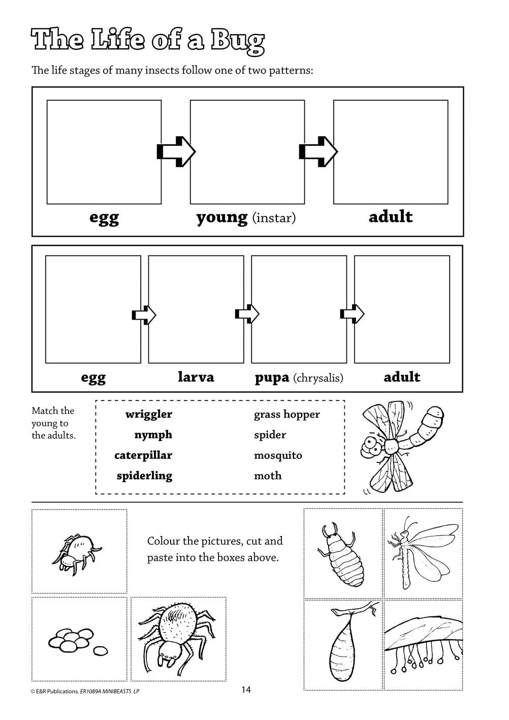 1089A | MiniBeasts LP