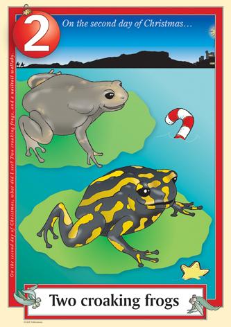 Australian Christmas endangered frogs