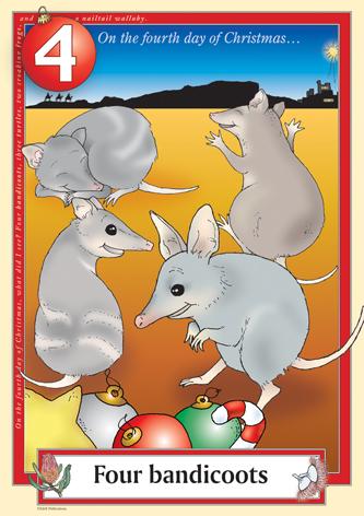 Australian Christmas endangered bandicoots
