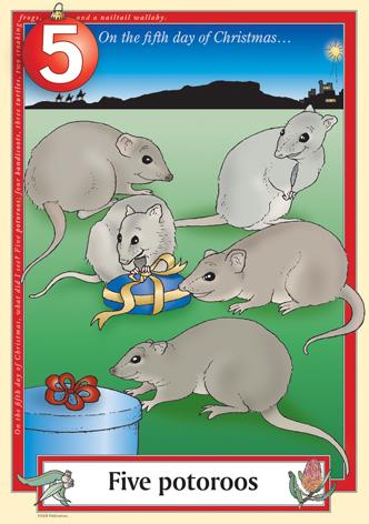 Australian Christmas endangered potoroos