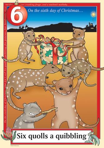 Australian Christmas endangered quolls