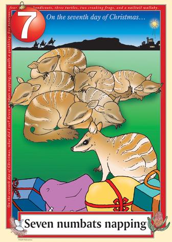 Australian Christmas endangered numbats