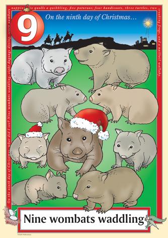 Australian Christmas endangered wombats
