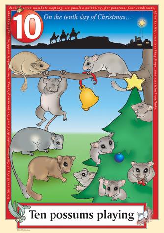 Australian Christmas endangered possums