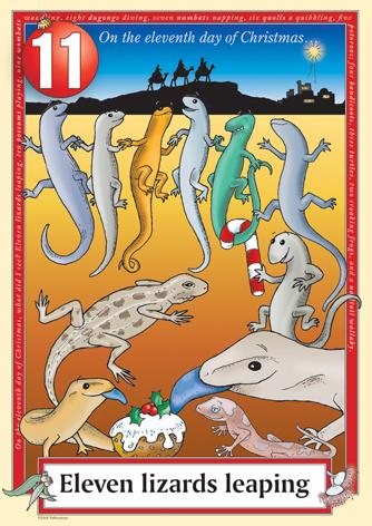 Australian Christmas endangered lizards