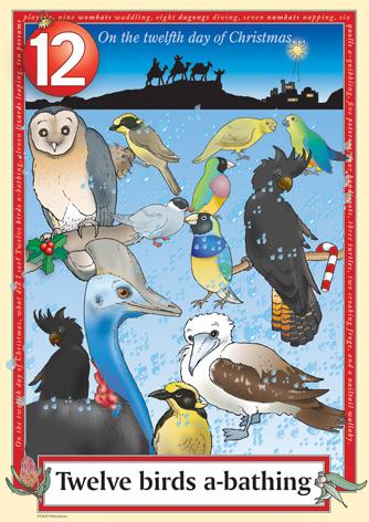 Australian Christmas endangered birds