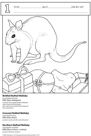 1541P | Aussie Endangered Animals Christmas Posters