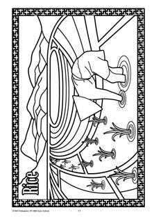 Asia BLM rice field paddy