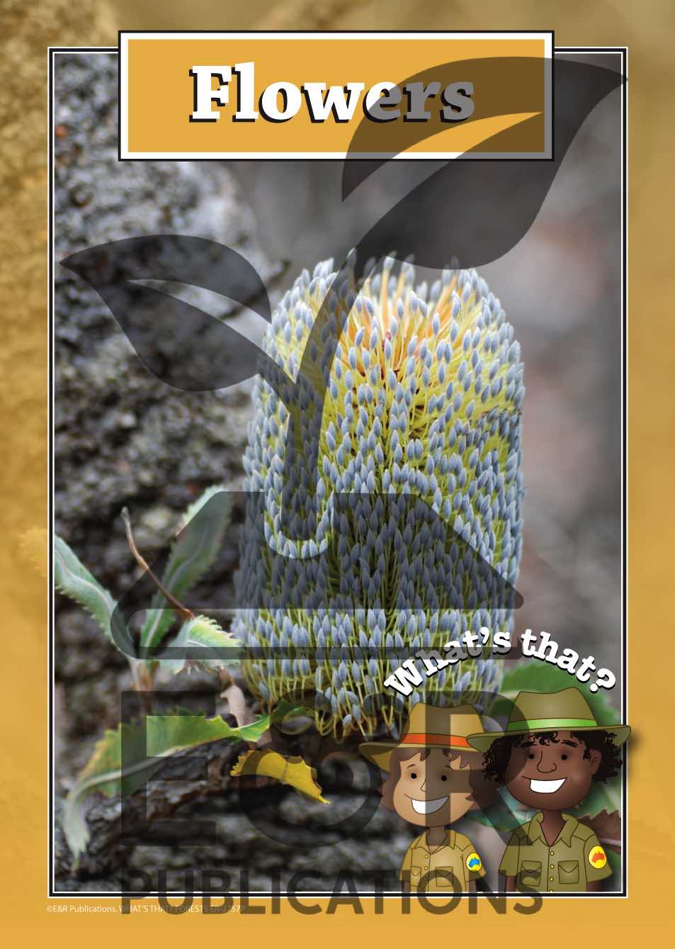 2757P | Forest posters A3 x 6