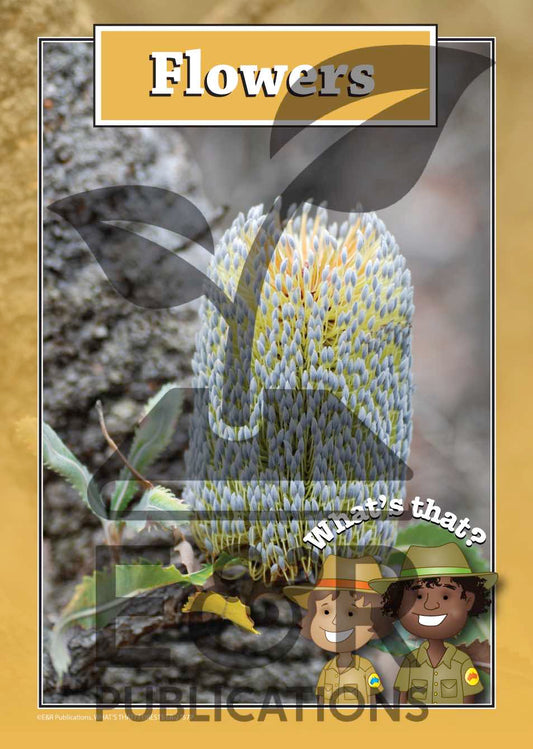 2757P | Forest posters A3 x 6