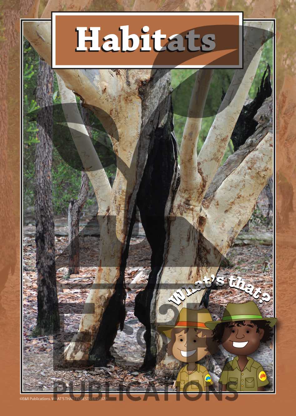 2757P | Forest posters A3 x 6