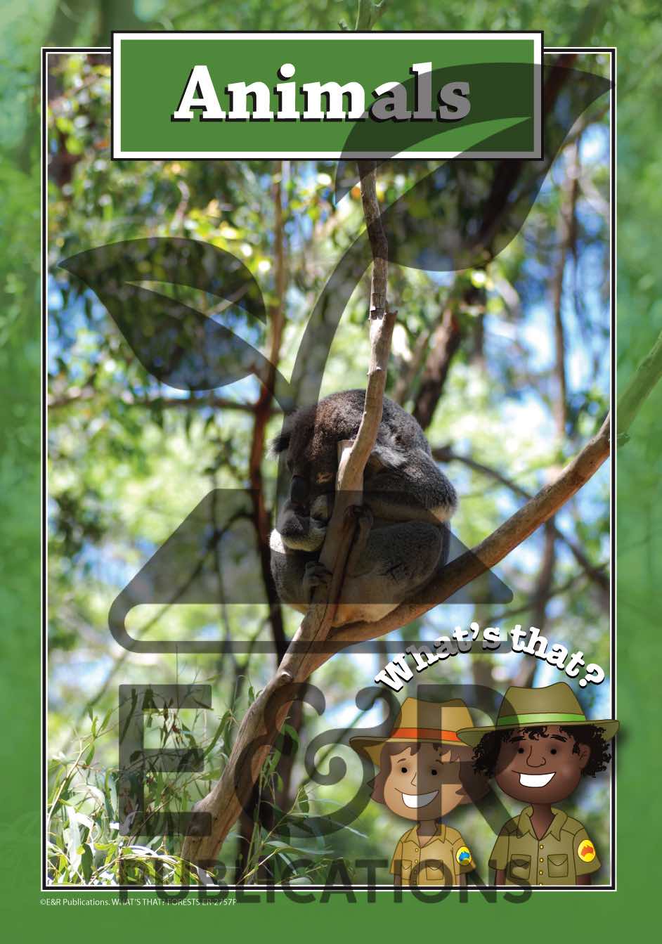 2757P | Forest posters A3 x 6