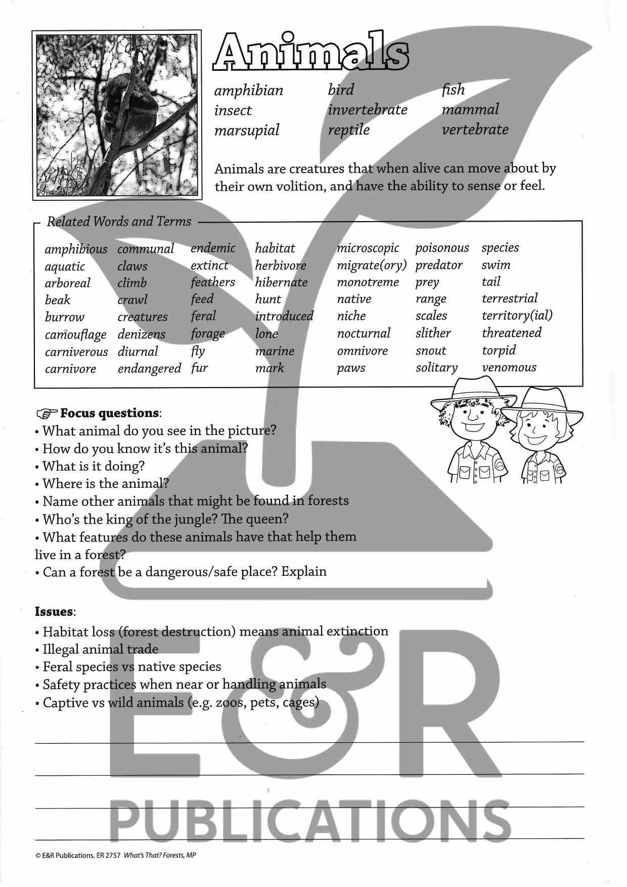 2757P | Forest posters A3 x 6