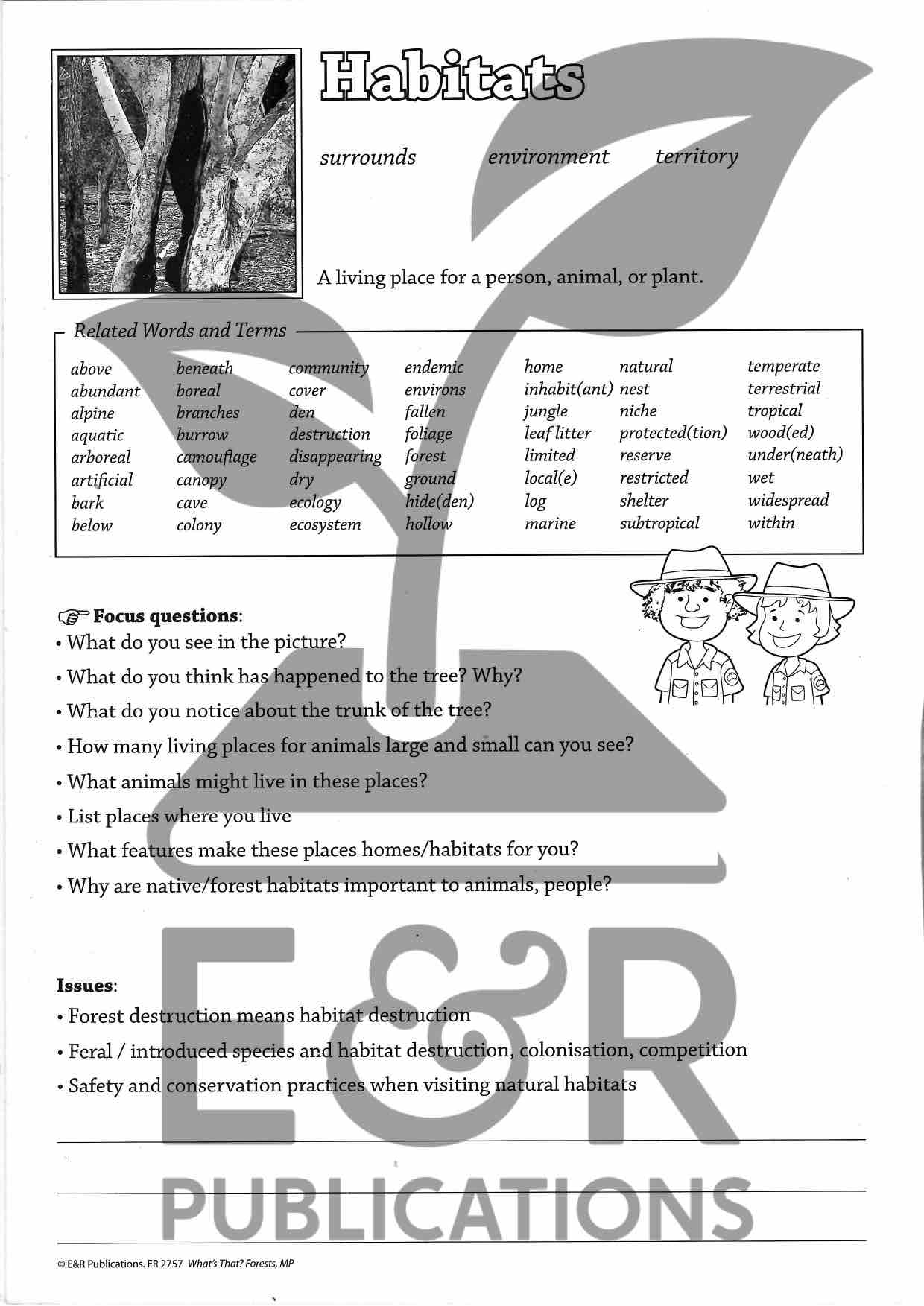 2757P | Forest posters A3 x 6