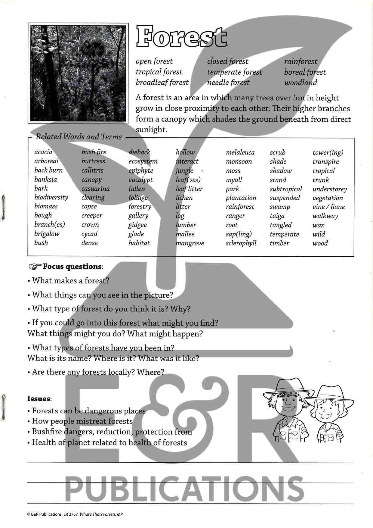 2757P | Forest posters A3 x 6