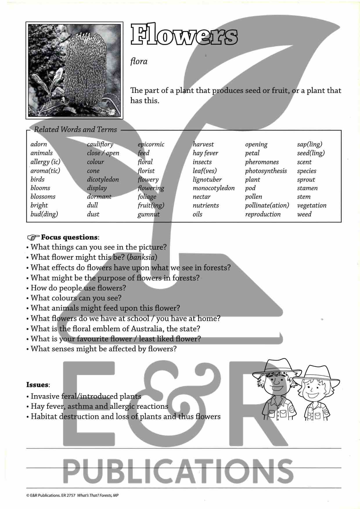 2757P | Forest posters A3 x 6