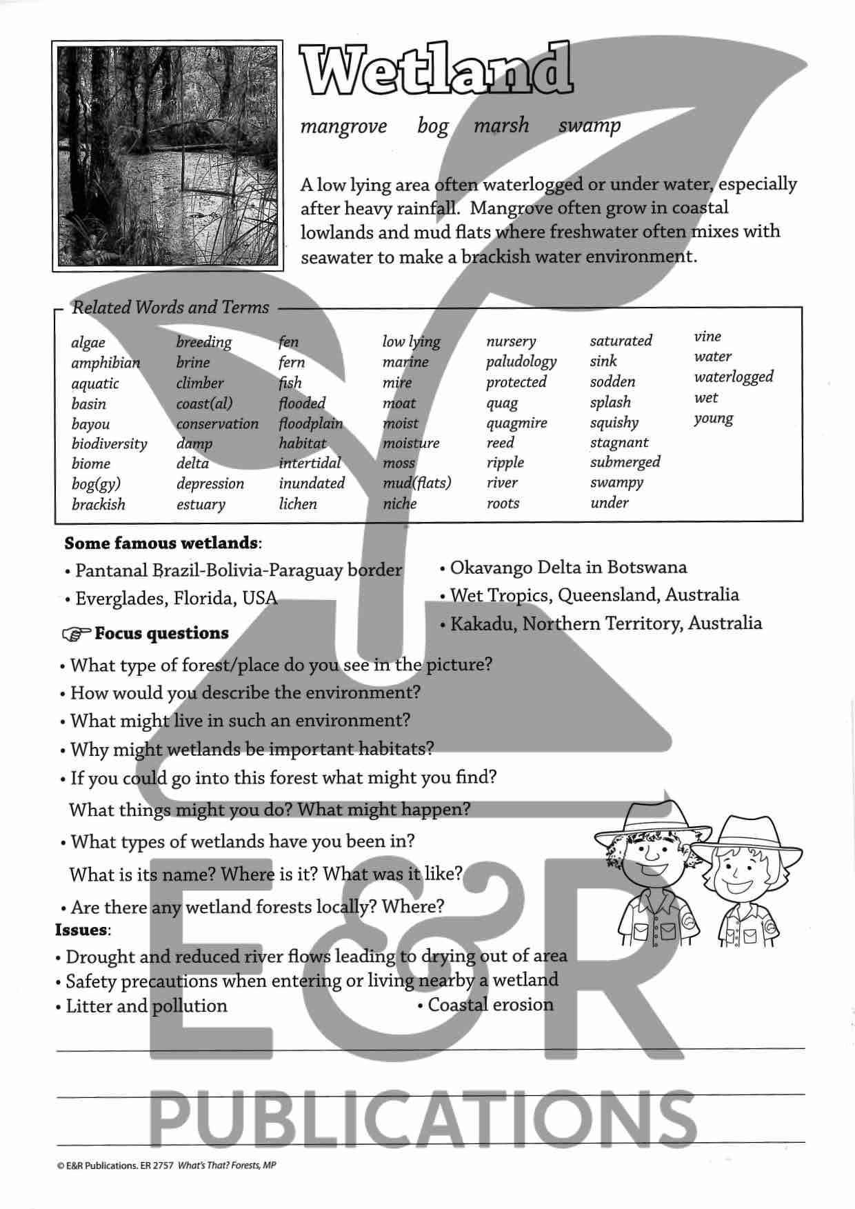 2757P | Forest posters A3 x 6