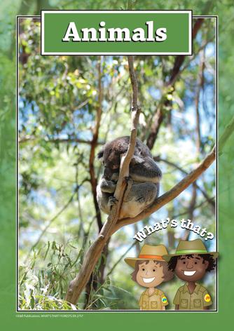 2757 | What's that? Forests