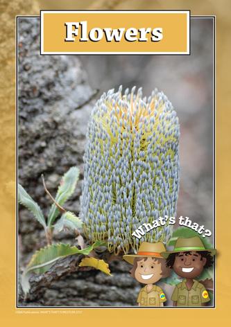 2757 | What's that? Forests