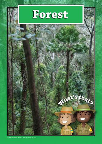 2757 | What's that? Forests