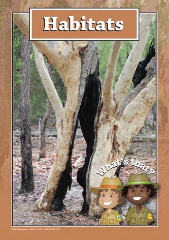 2757 | What's that? Forests