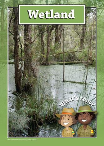 2757 | What's that? Forests