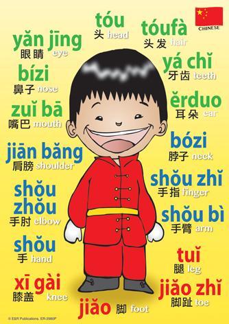 2980P | Chinese Language Posters