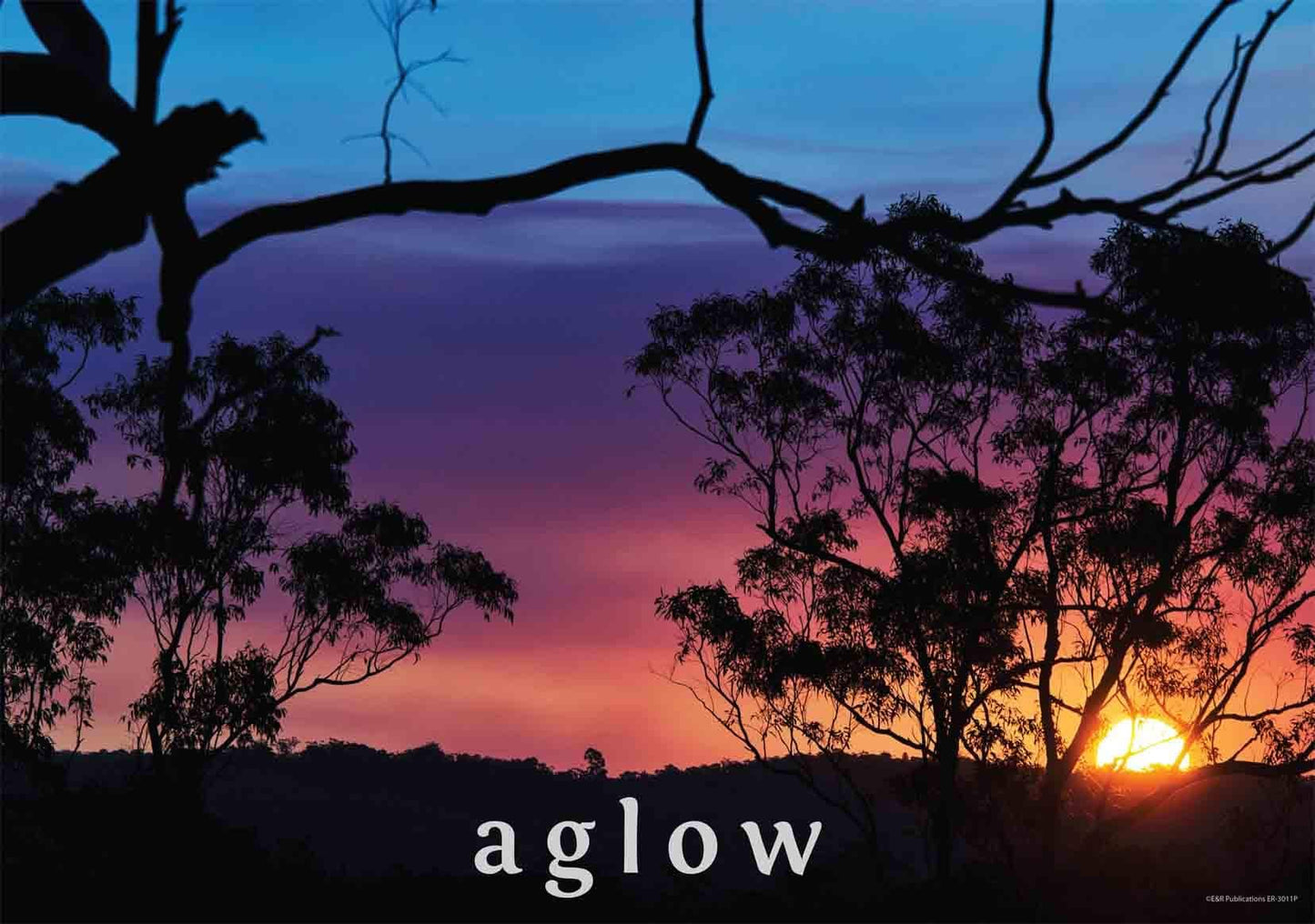 3011P | Light: Photographic Posters