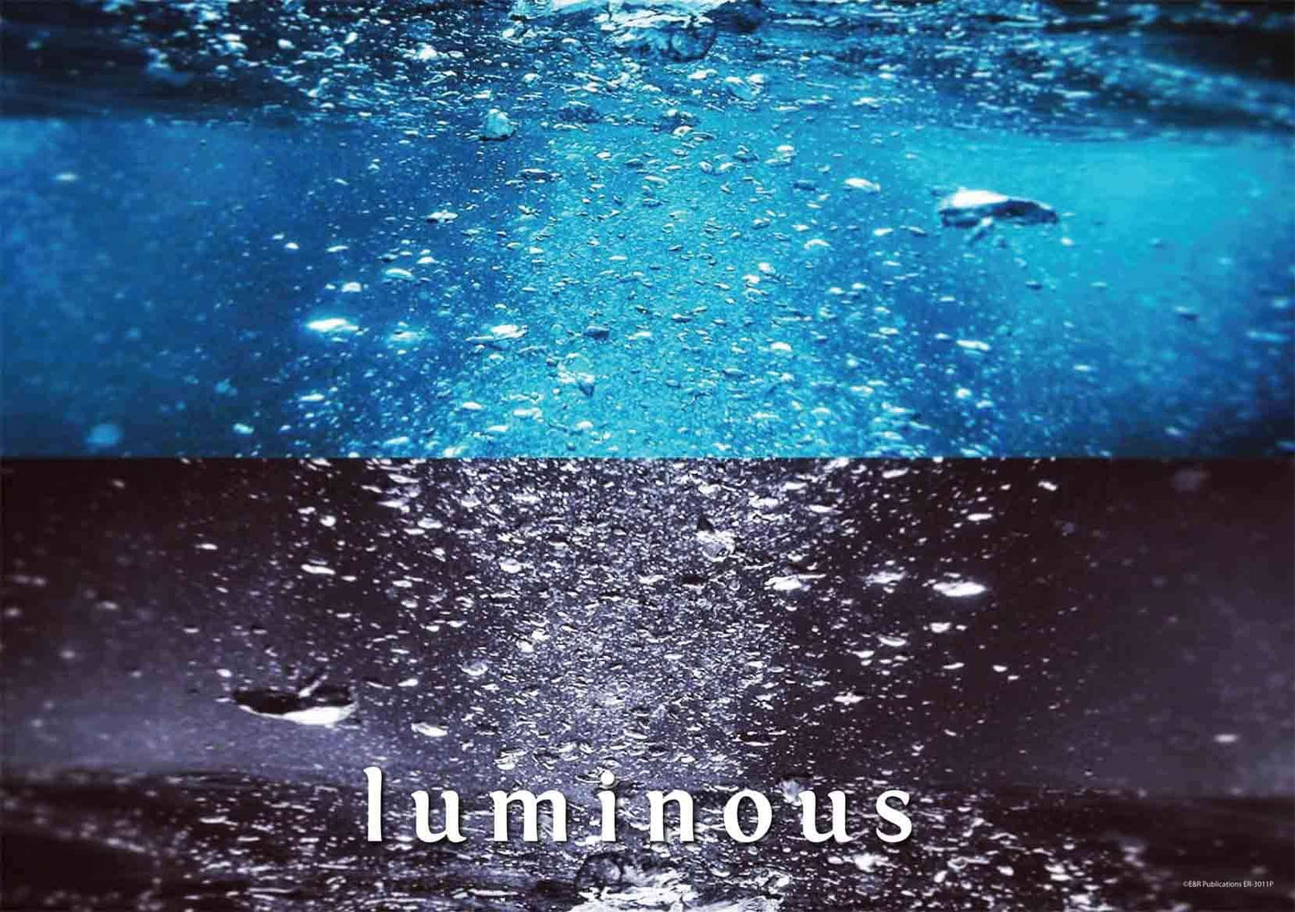 3011P | Light: Photographic Posters