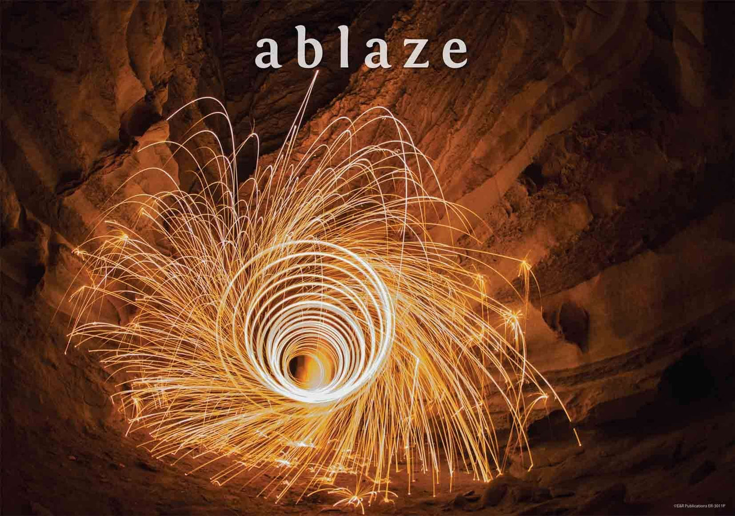 3011P | Light: Photographic Posters