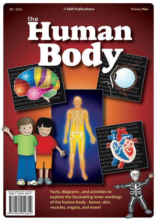 3216 | The Human Body