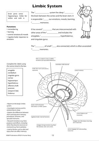 3216 | The Human Body