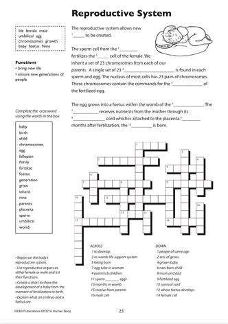 3216 | The Human Body