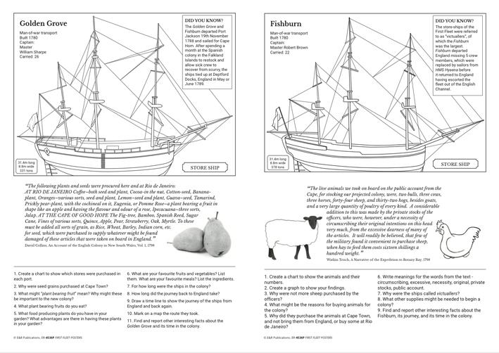 4536P | First Fleet A3 poster set, plus BLMs