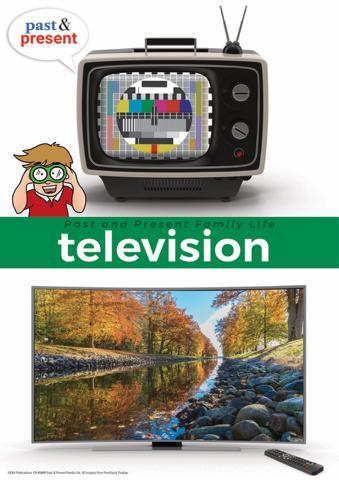 4540P | Past and Present Family Life posters, Year 1