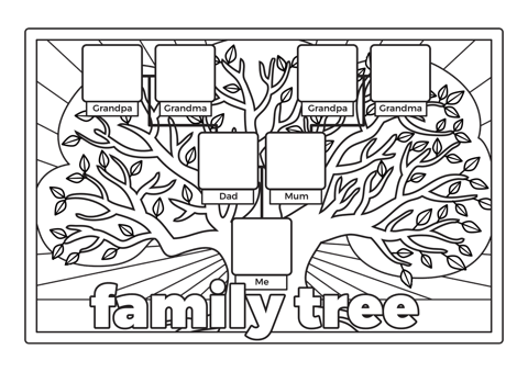 4540 | Past and Present Family Life Outlines, Year 1