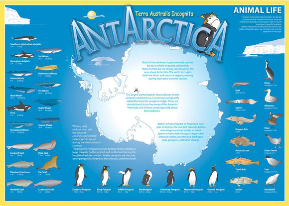 Map of Antarctica on blue background, with many labelled pictures of local wildlife