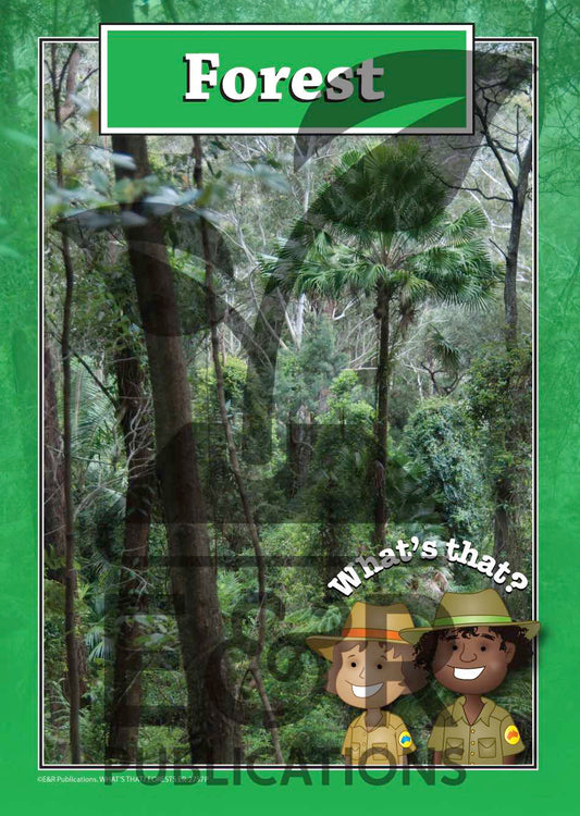 2757P | Forest posters A3 x 6