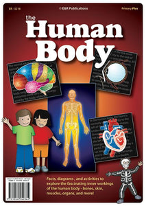 3216 | The Human Body