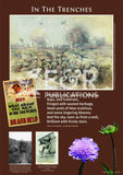 4593 P | Australia's Place in WW1, poster set